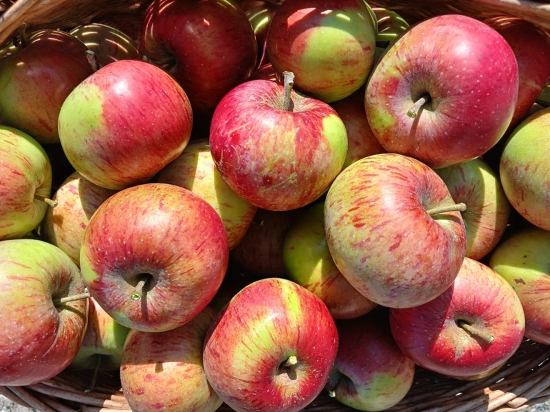 Tafeläpfel gemischt 500g