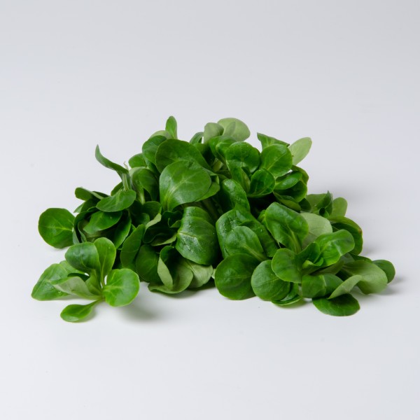 Vogerlsalat (100g-Tasse)