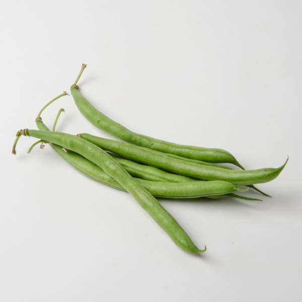 Fisolen